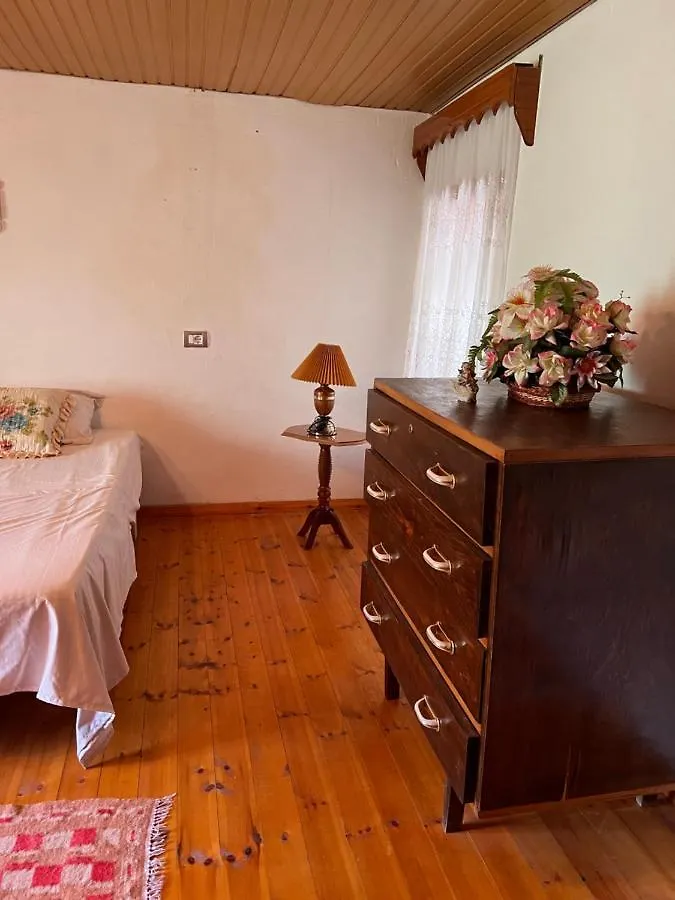 Goni Guest House Tepelenë 홈스테이